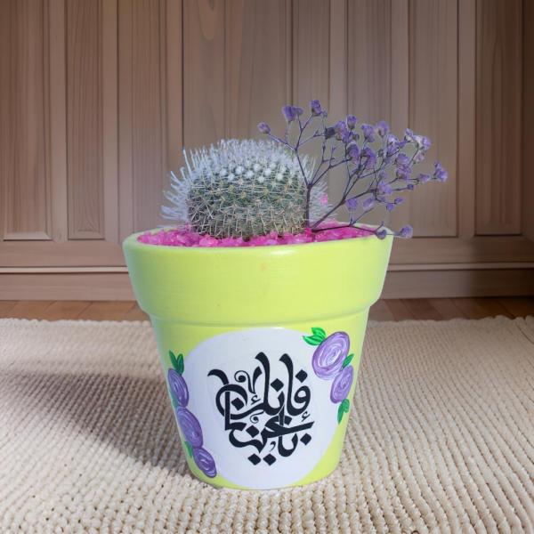صبار في بوت ملون