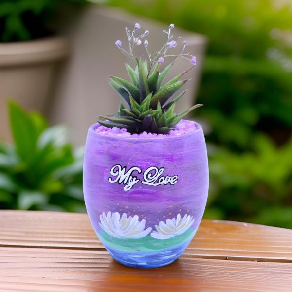 صبار في بوت ملون