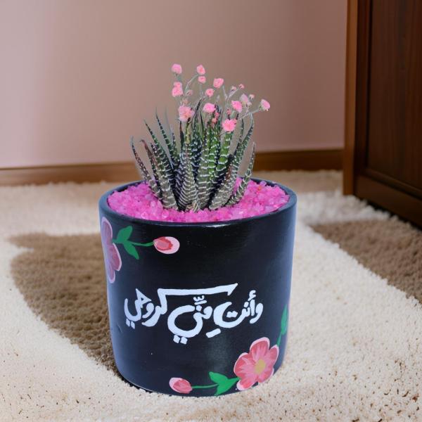 صبار في بوت ملون