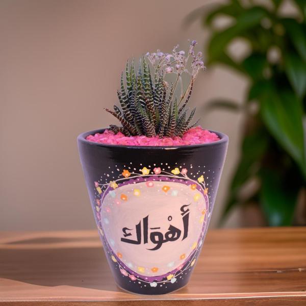 صبار في بوت ملون