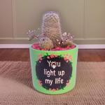 صبار في بوت ملون