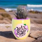 صبار في بوت ملون