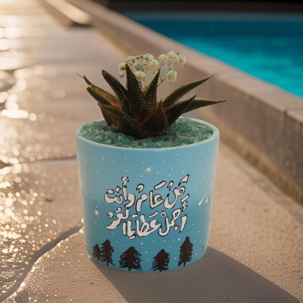 صبار في بوت ملون