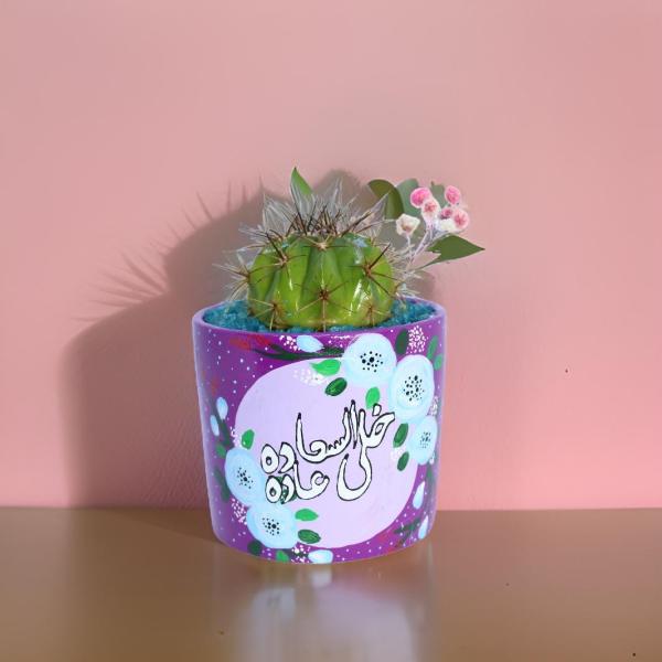 صبار في بوت ملون