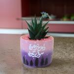 صبار في بوت ملون