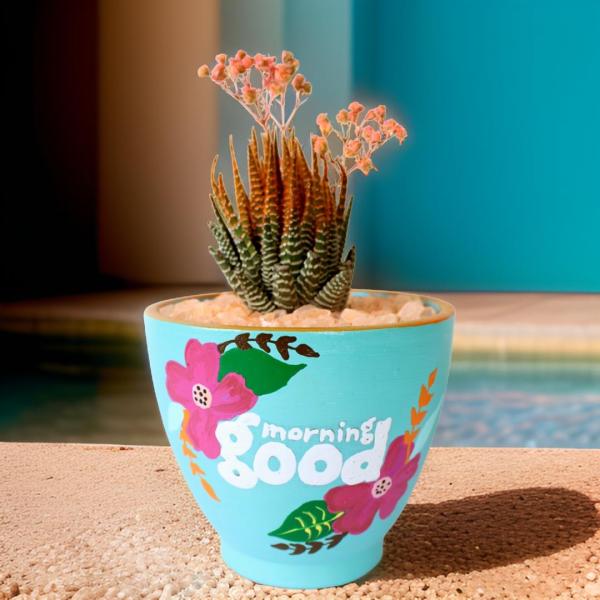 صبار في بوت ملون