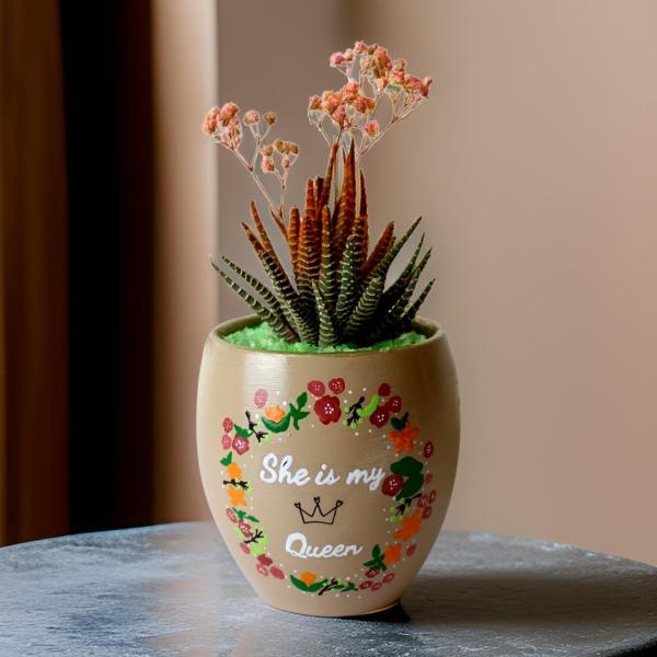 صبار في بوت ملون