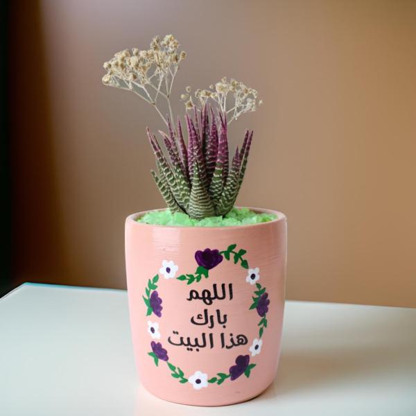 صبار في بوت ملون