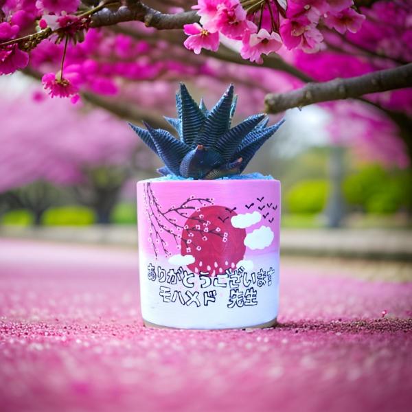 صبار في بوت ملون