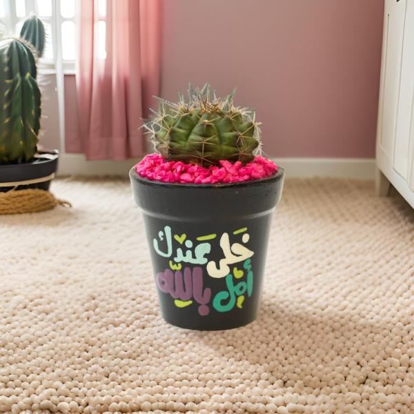 صبار في بوت ملون