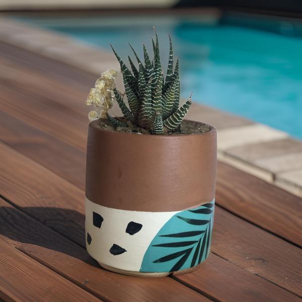 صبار في بوت ملون