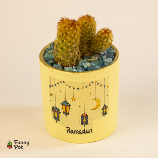 بوت فخار هاند ميد