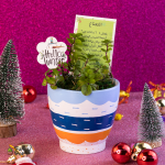 نبات نعناع طبيعي