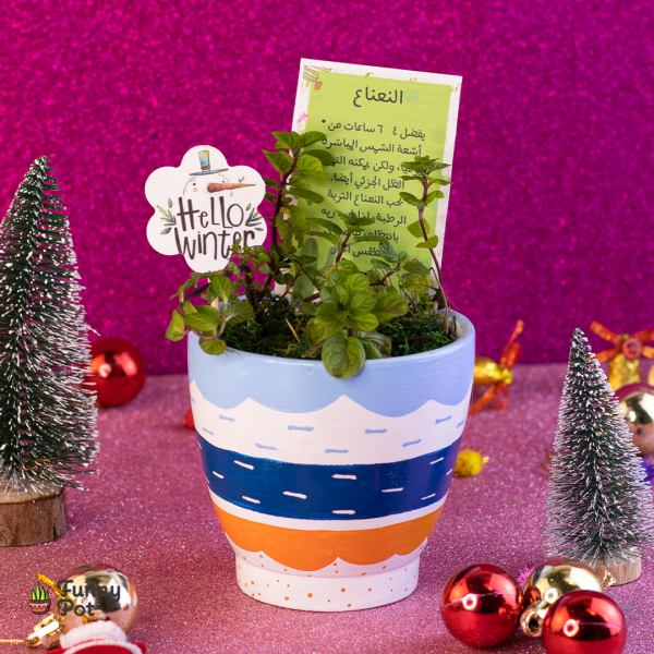 نبات نعناع طبيعي