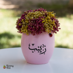 بوت بيبي فلاور