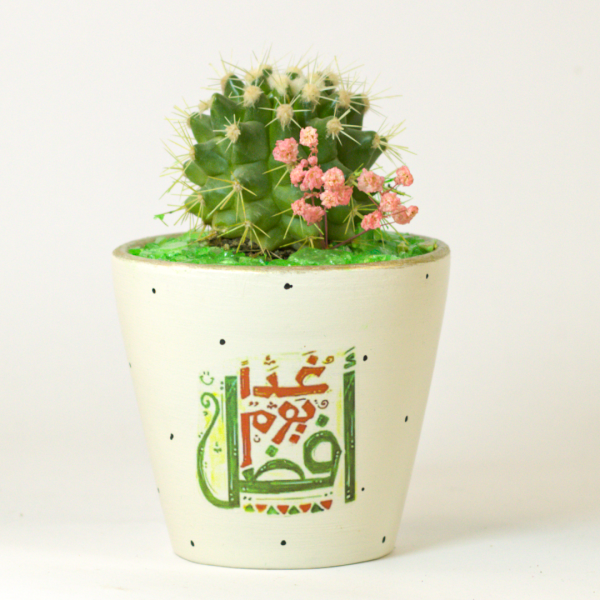 صبار في بوت ملون