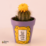 بوت بالصبار الطبيعي