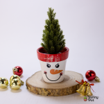 بوت شجره الكريسمس