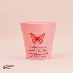 بوت فخار فارغ