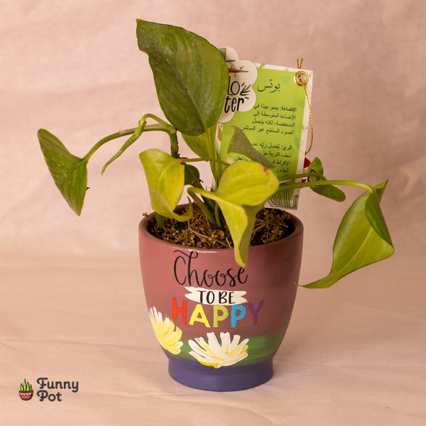 بوت بالبوتس الطبيعي