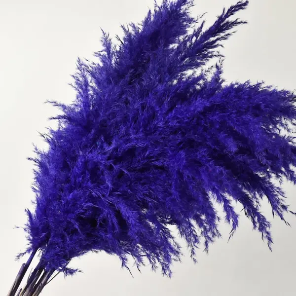 بامبوس ناعم مجفف