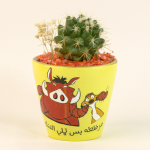 صبار في بوت ملون