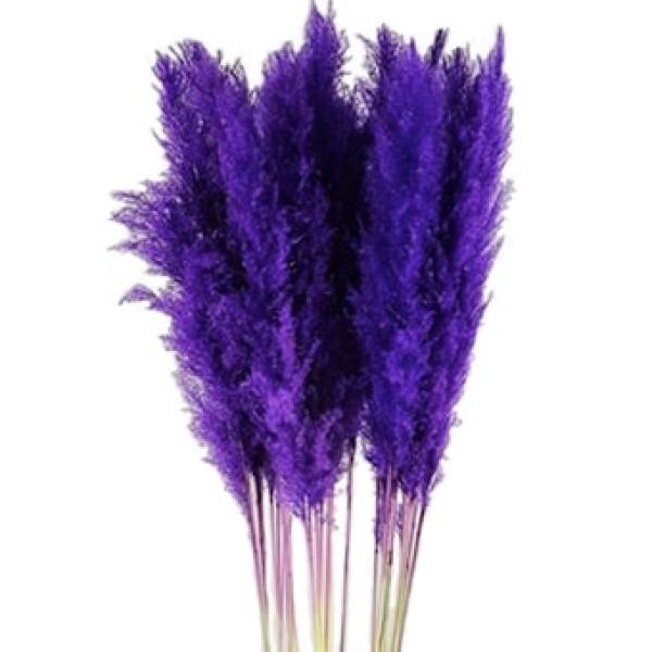 بامبوس مجفف