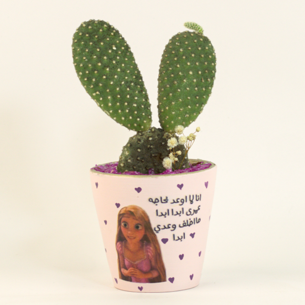 صبار في بوت ملون