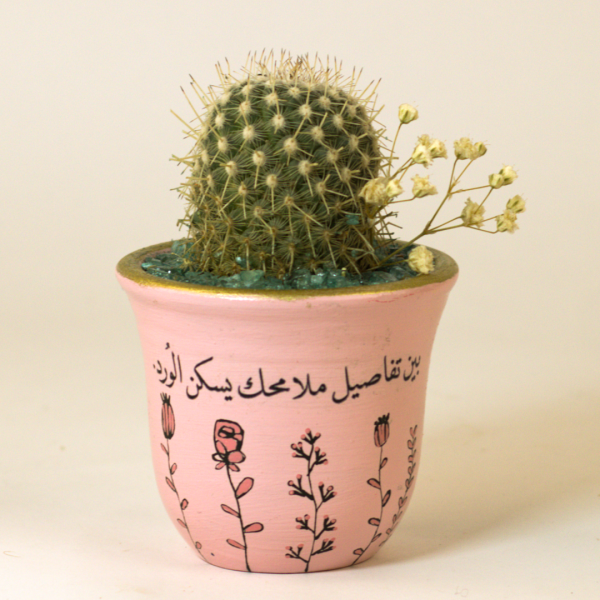 صبار في بوت ملون