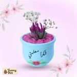 بوت فخار صبار طبيعي