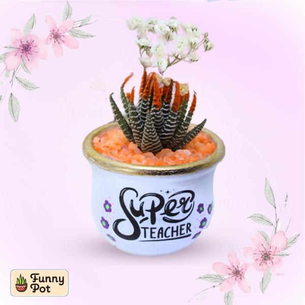 بوت فخار صبار طبيعي