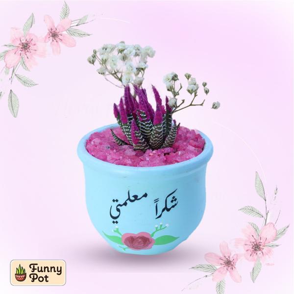 بوت فخار صبار طبيعي