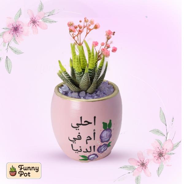 بوت فخار صبار طبيعي