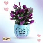 بوت فخار نبات  صناعى