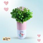 بوت فخار نبات  صناعى