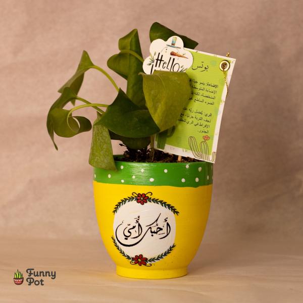 بوت فخار نبات طبيعي