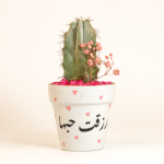 صبار في بوت ملون