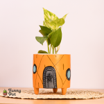 بوت بالبوتس الطبيعي